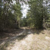 27.97 Acres of Hunting or Recreational Land images 2