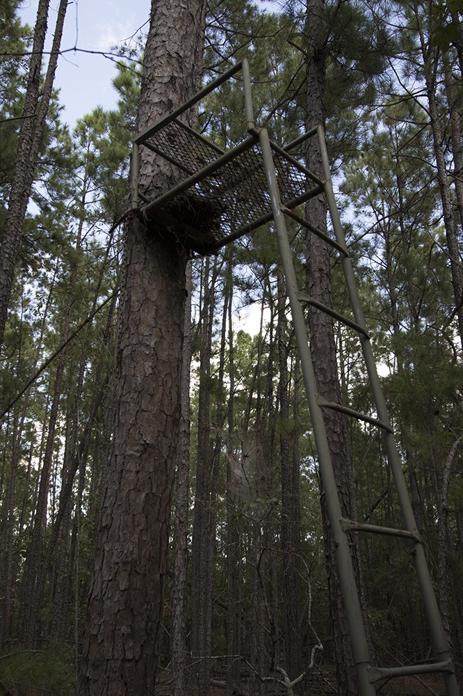 27.97 Acres of Hunting or Recreational Land featured image