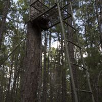 27.97 Acres of Hunting or Recreational Land