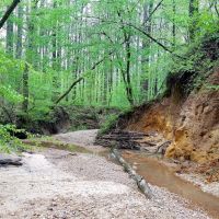 Beautiful Home site or Hunting Land images 4