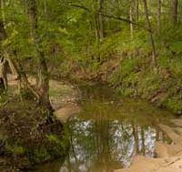 Fair-chase Guided Whitetail Deer Hunts in Western Illinois