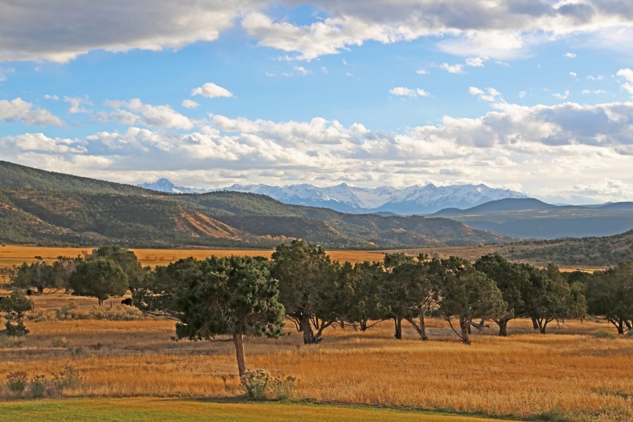 Buckhorn Mountain Ranch featured image