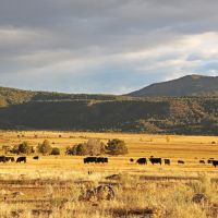 Buckhorn Mountain Ranch images 3