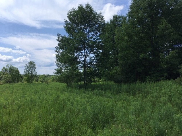 195 acres Hunting Land Brookfield NY featured image