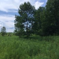 195 acres Hunting Land Brookfield NY