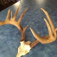 195 acres Hunting Land Brookfield NY images 3