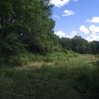 195 acres Hunting Land Brookfield NY images 6