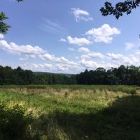 195 acres Hunting Land Brookfield NY images 5