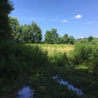 195 acres Hunting Land Brookfield NY images 4