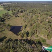 40 ac - Farm for Home Site
