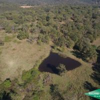 40 ac - Farm for Home Site images 2