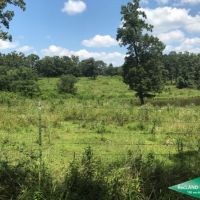 40 ac - Farm for Home Site images 4