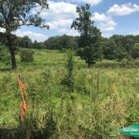 40 ac - Farm for Home Site images 5