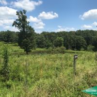 40 ac - Farm for Home Site images 6