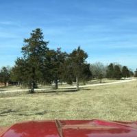 500 Down on Bull Shoals Lake Property images 4