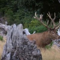 El Cercon Hunting Lodge &nbsp; Resort images 2