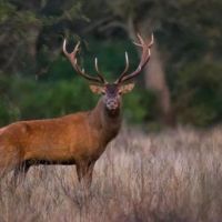 El Cercon Hunting Lodge &nbsp; Resort images 5