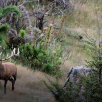 El Cercon Hunting Lodge &nbsp; Resort images 6