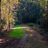 Molsenia images 6
