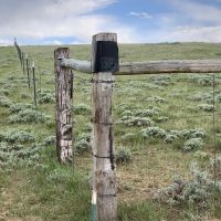Laramie River Ranch images 4