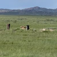 Laramie River Ranch images 5