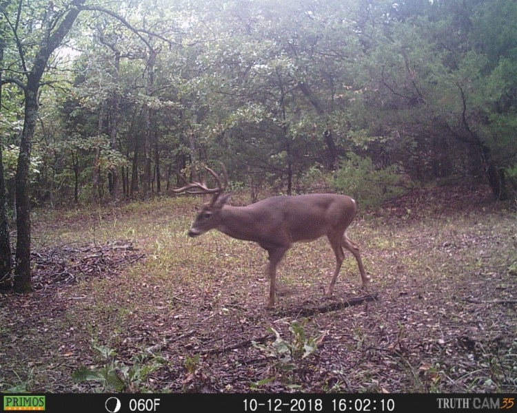 Hunting Rec Land near Lake Eufaula featured image