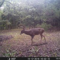 Hunting Rec Land near Lake Eufaula