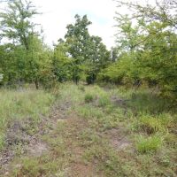Hunting Rec Land near Lake Eufaula images 2