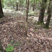 Hunting Rec Land near Lake Eufaula images 3