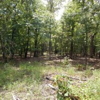 Hunting Rec Land near Lake Eufaula images 6