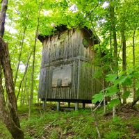 312 acres Hunting Cabin with Pond Hermon NY images 2
