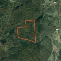 312 acres Hunting Cabin with Pond Hermon NY images 4