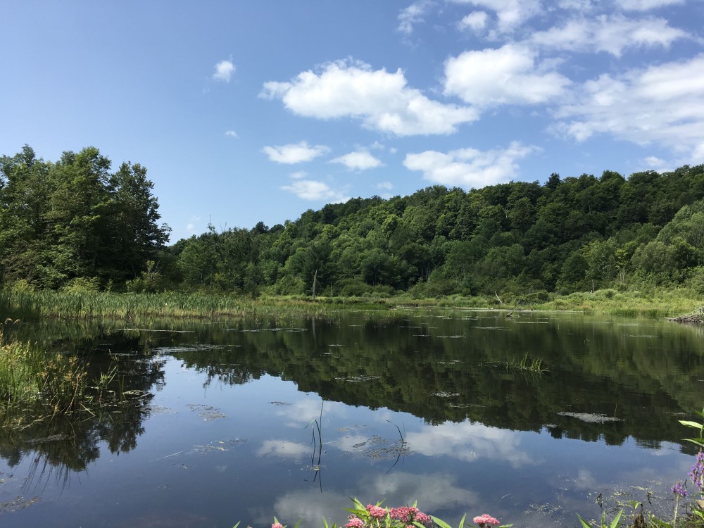 312 acres Hunting Cabin with Pond Hermon NY featured image