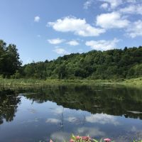 312 acres Hunting Cabin with Pond Hermon NY
