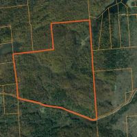 312 acres Hunting Cabin with Pond Hermon NY images 6