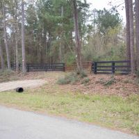 38.413 Ac Simmons Grove Tr 10 images 2