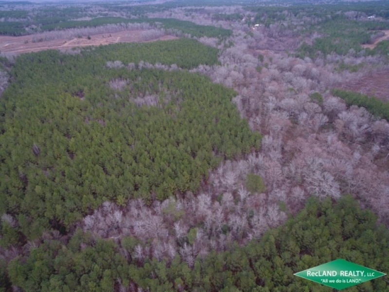 80 ac - Timberland Lease Income  Hunting  Home Site Potential featured image