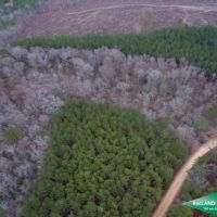 80 ac - Timberland Lease Income  Hunting  Home Site Potential images 3
