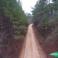 80 ac - Timberland Lease Income  Hunting  Home Site Potential images 4