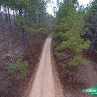 80 ac - Timberland Lease Income  Hunting  Home Site Potential images 5