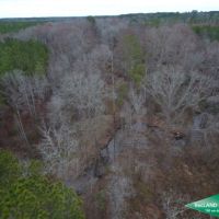 80 ac - Timberland Lease Income  Hunting  Home Site Potential images 6