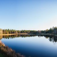 Tiller Pond images 4