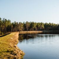 Tiller Pond