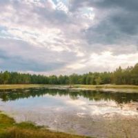 Tiller Pond images 2