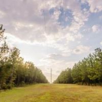Tiller Pond images 5