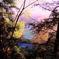 Waterfront Cabin w River Frontage Richland County WI for Sale images 4