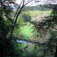 Waterfront Cabin w River Frontage Richland County WI for Sale images 5