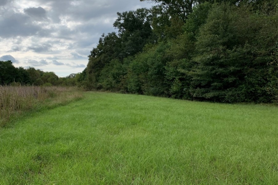 33 Acres in Madison County in Canton  MS featured image