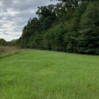 33 Acres in Madison County in Canton  MS images 1