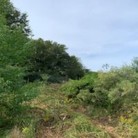 33 Acres in Madison County in Canton  MS images 2
